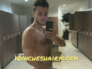 10incheshairycock