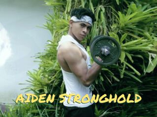 AIDEN_STRONGHOLD