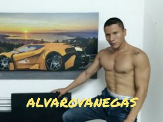 ALVAROVANEGAS