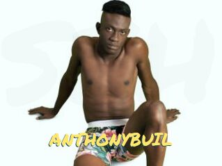 ANTHONYBUIL