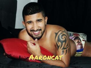 Aaroncat