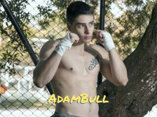 AdamBull
