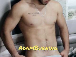 AdamBurning