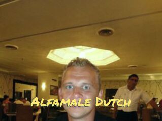 Alfamale_Dutch
