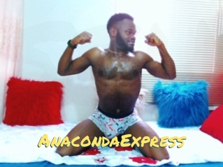 AnacondaExpress