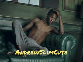 AndrewSlimCute