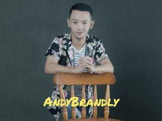 AndyBrandly