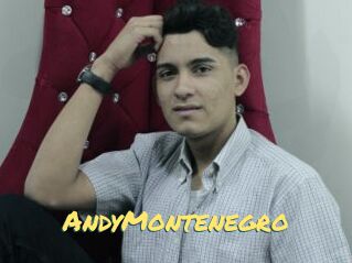 AndyMontenegro