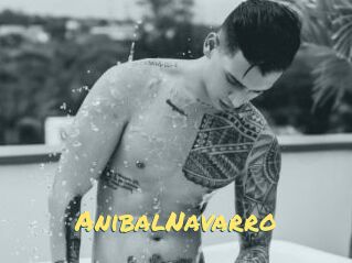 AnibalNavarro