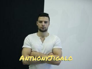 AnthonyJigalo
