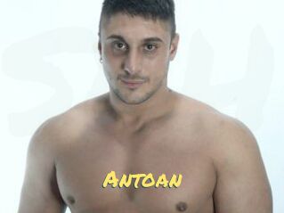 Antoan