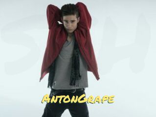 AntonGrape