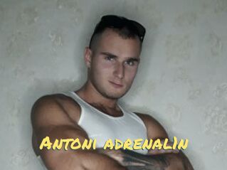 Antoni_adrenal1n