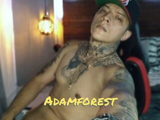 Adamforest