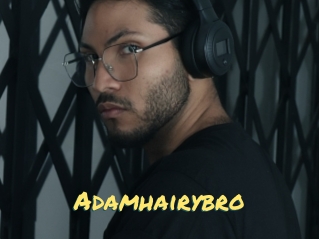 Adamhairybro