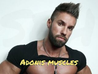 Adonis_muscles