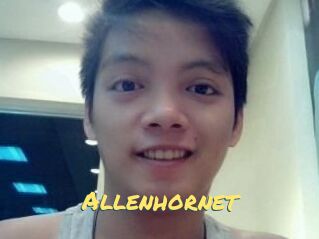 Allen_hornet