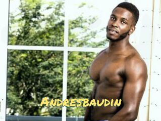 Andresbaudin