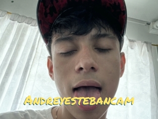 Andreyestebancam