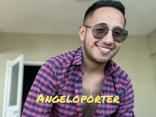 Angeloporter
