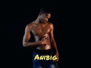 Anibig