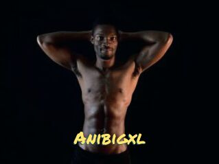 Anibigxl