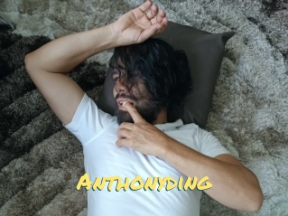 Anthonyding