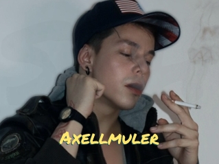 Axellmuler
