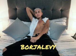 BORJALEVY