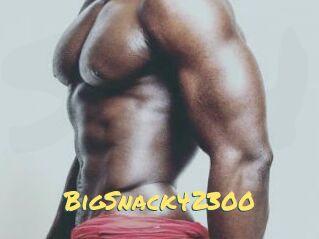 BigSnack42300