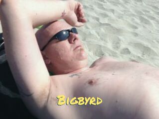 Bigbyrd