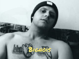 Bignois