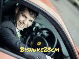 Bisnuke23cm