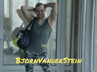 BjornVanderStein