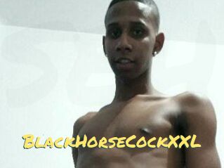 BlackHorseCockXXL