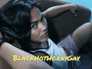 BlackHotHornyGay