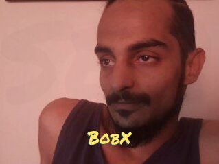 BobX