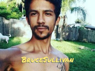 Bruce_Sullivan
