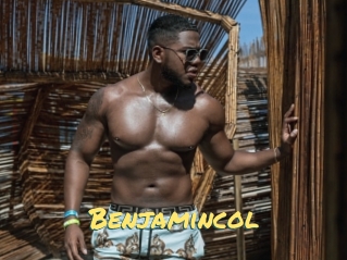 benjamincol Sexe entre hommes