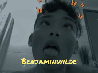 Benjaminwilde