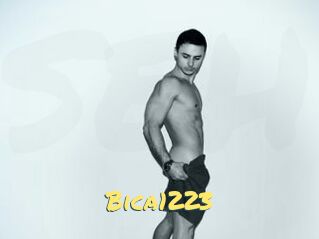 Bica1223