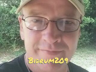 Bidrum209