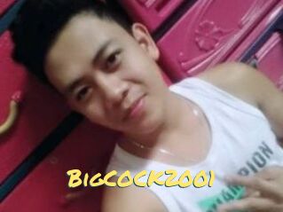 BigCOCK2001
