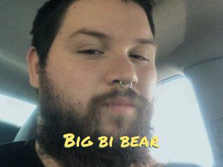 Big_bi_bear