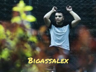 Bigassalex