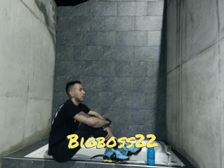 Bigboss22