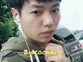 Bigcock214