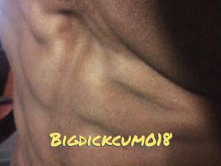 Bigdickcum018
