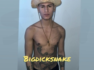 bigdicksnake Sexe entre hommes