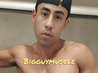 Bigguymuscle